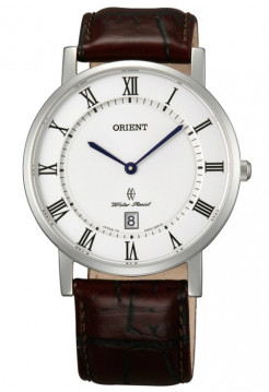 Orient GW0100HW
